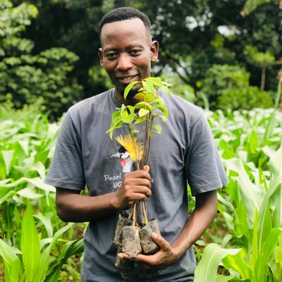 My-would-be-prefered-book-cover-picture-if-it-can-work_PNG-scaled